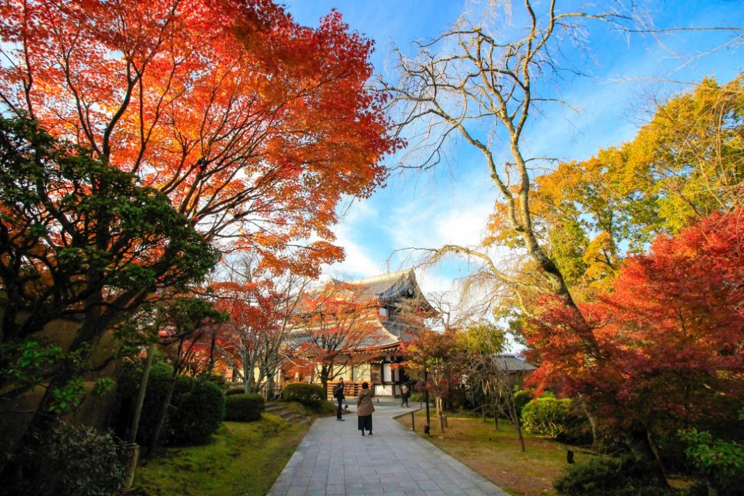 The Best Place to Visit before Starting Your Kyoto Sightseeing | Kyoto